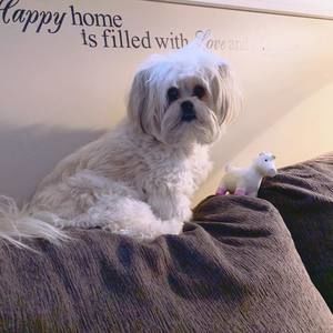 Meet your Posher, Rebecca